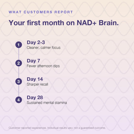 NAD+ Brain | Healthy Brain Aging | Nootropic