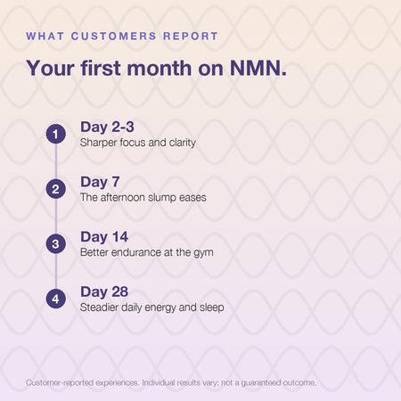 NMN supplement 250mg capsules
