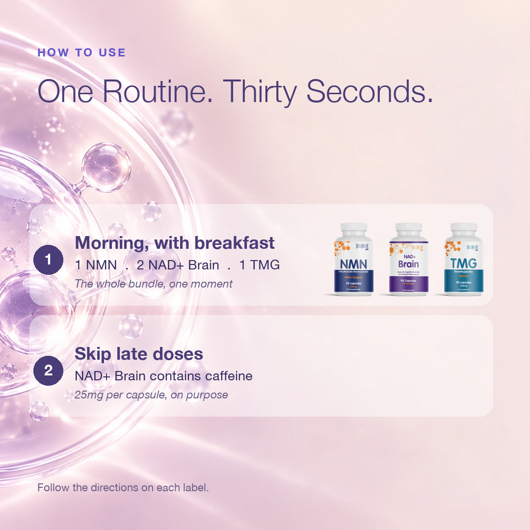 Morning Bundle | NAD+ Brain | NMN | TMG