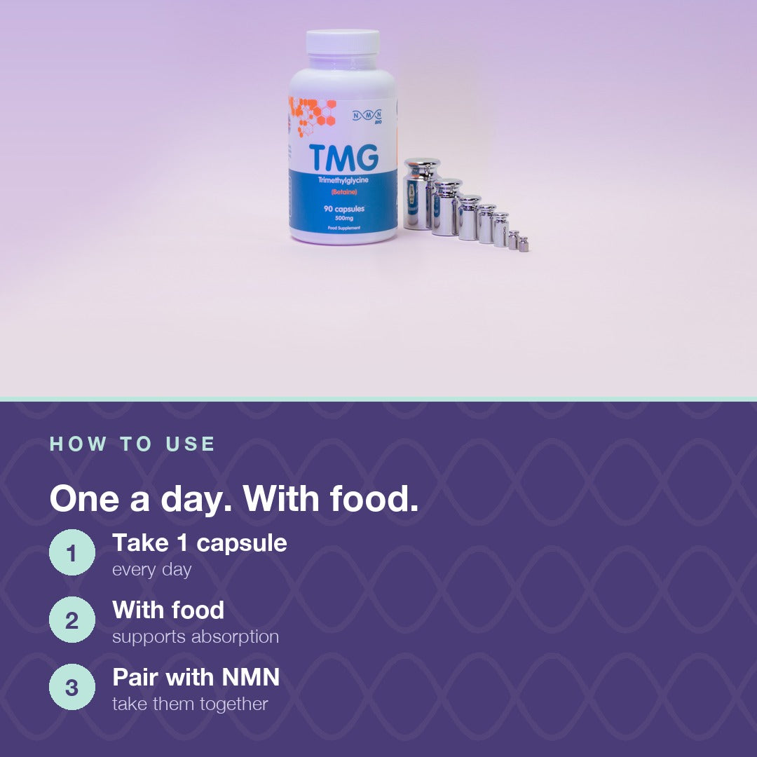 Longevity Essentials Bundle