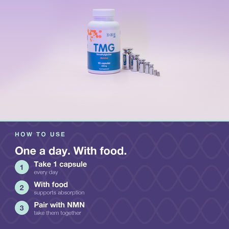 Longevity Essentials Bundle