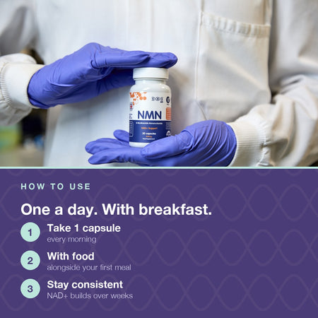 Longevity Essentials Bundle