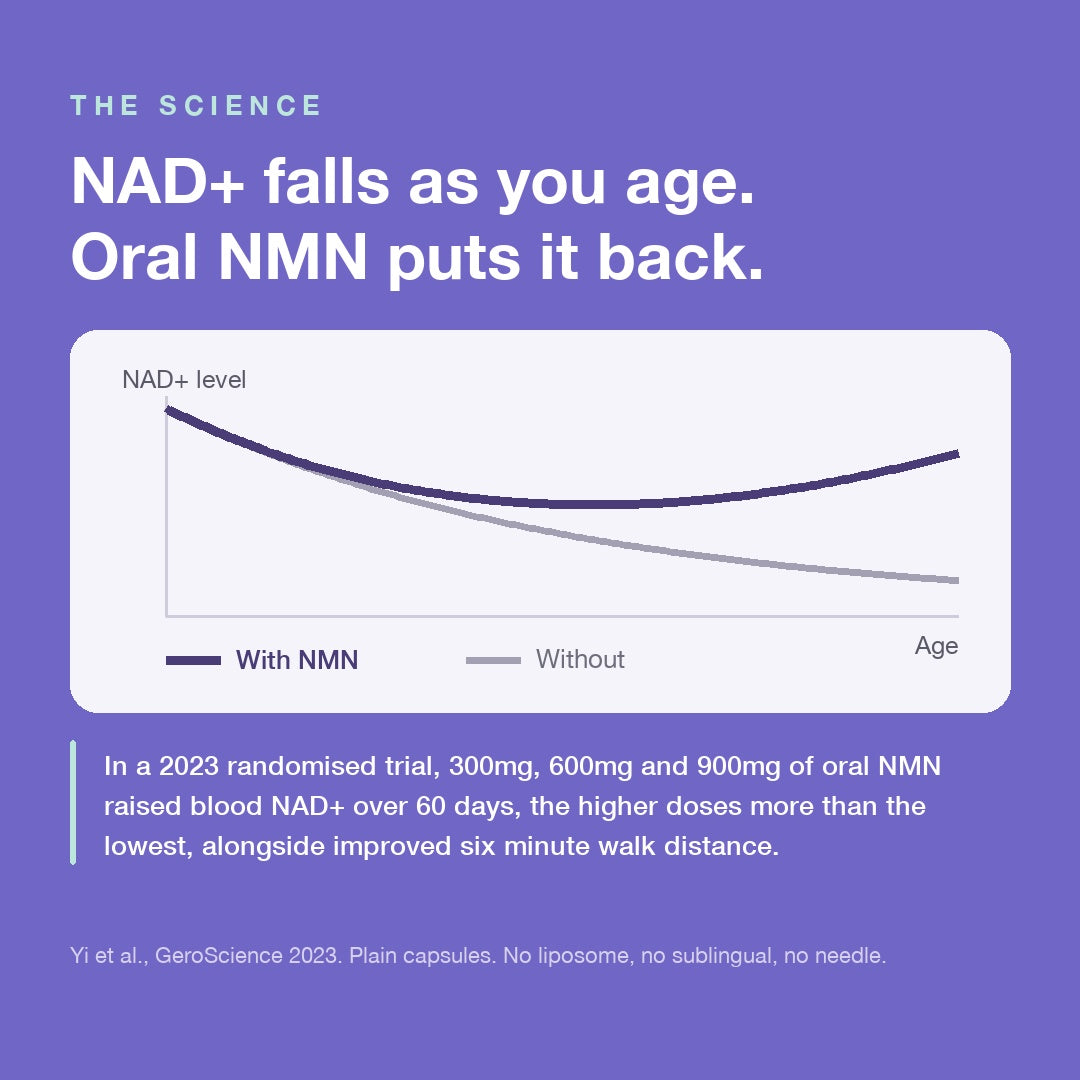 NMN supplement capsules 500mg