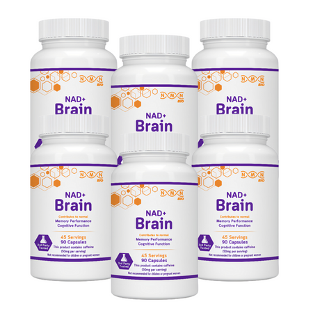 NAD+ Brain | Healthy Brain Aging | Nootropic