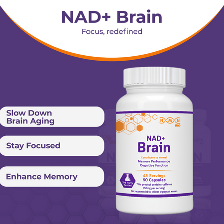 Morning Bundle | NAD+ Brain | NMN | TMG