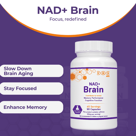 NAD+ Brain | Healthy Brain Aging | Nootropic