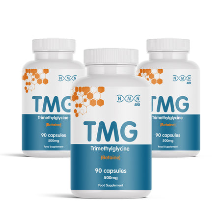 TMG (Trimethylglycine) | 500 mg | 90 Capsules