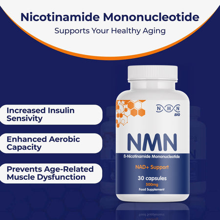 Longevity Essentials Bundle