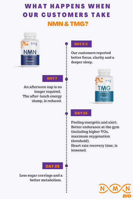 Longevity Starter Pack | NMN | TMG | Quercetin