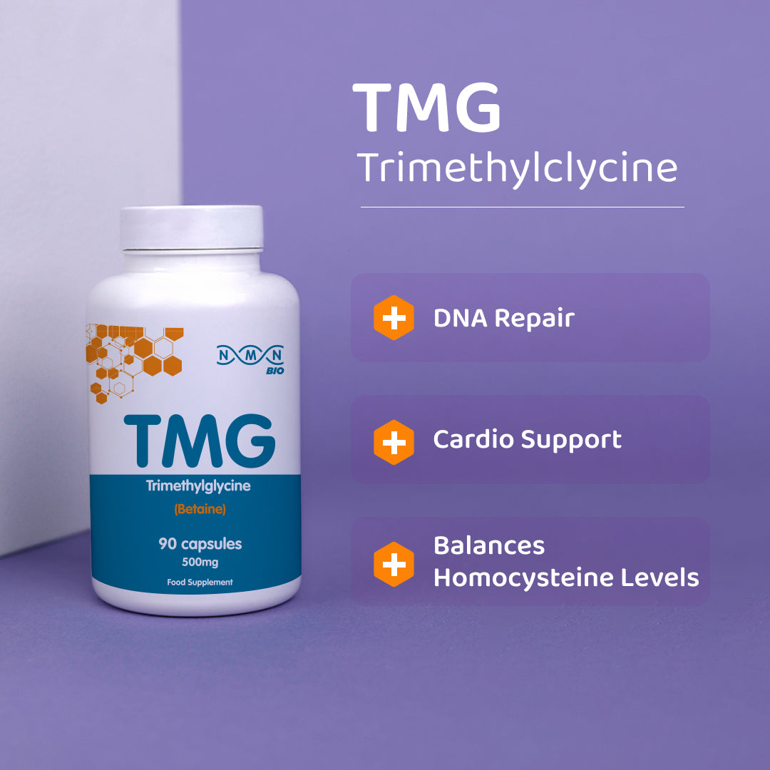 Morning Bundle | NAD+ Brain | NMN | TMG