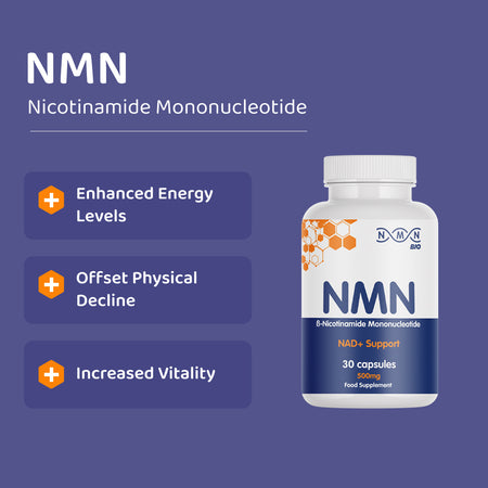 Morning Bundle | NAD+ Brain | NMN | TMG