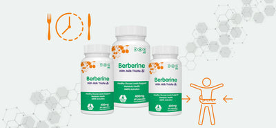 Intermittent Fasting, Weight Loss and Berberine