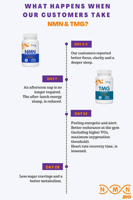 Longevity Starter Pack | NMN | TMG | Quercetin