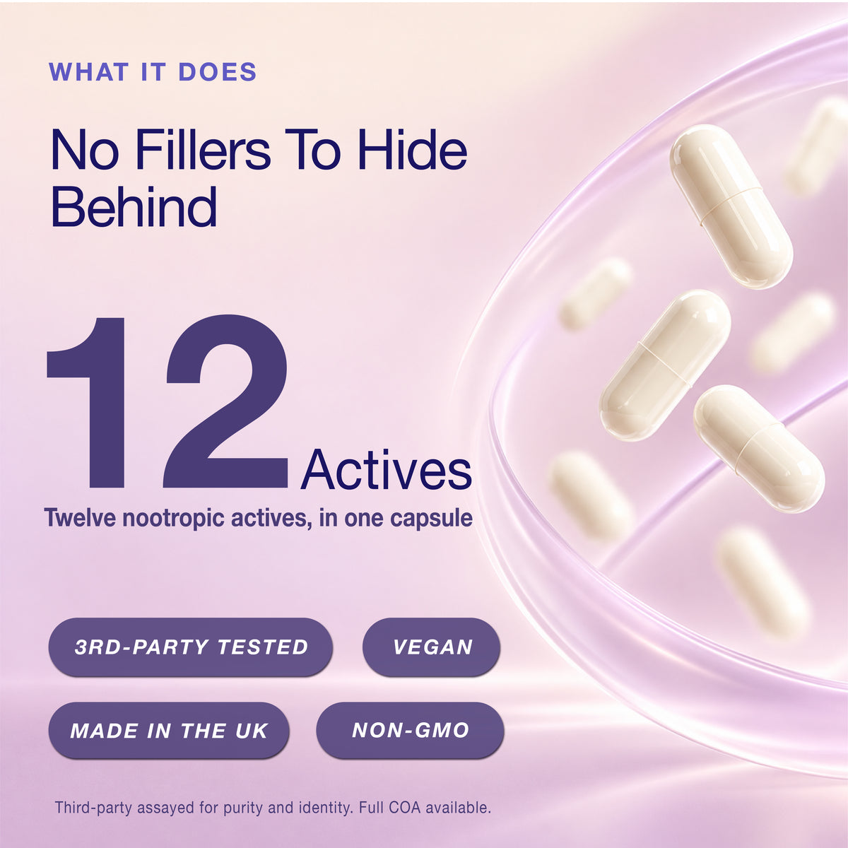 NAD+ Brain | Healthy Brain Aging | Nootropic