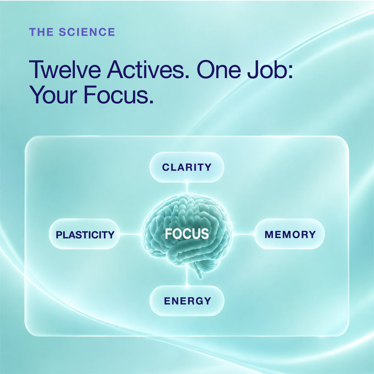 A digital infographic titled &