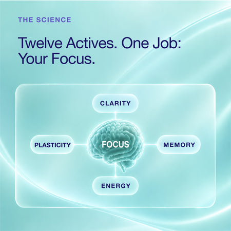 A digital infographic titled 'Twelve Actives. One Job: Your Focus.