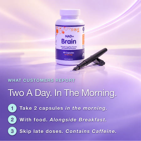 NAD+ Brain | Healthy Brain Aging | Nootropic