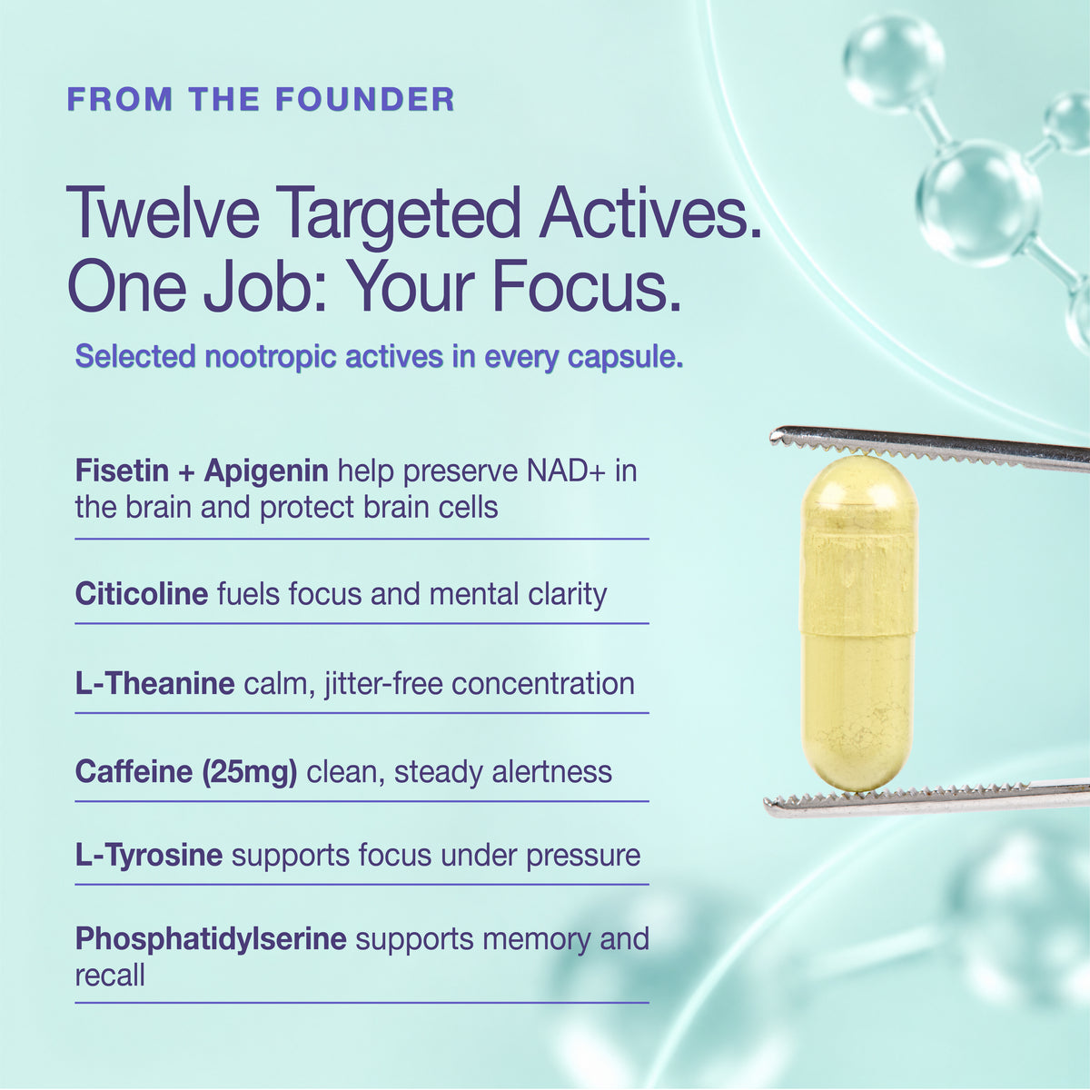 NAD+ Brain | Healthy Brain Aging | Nootropic