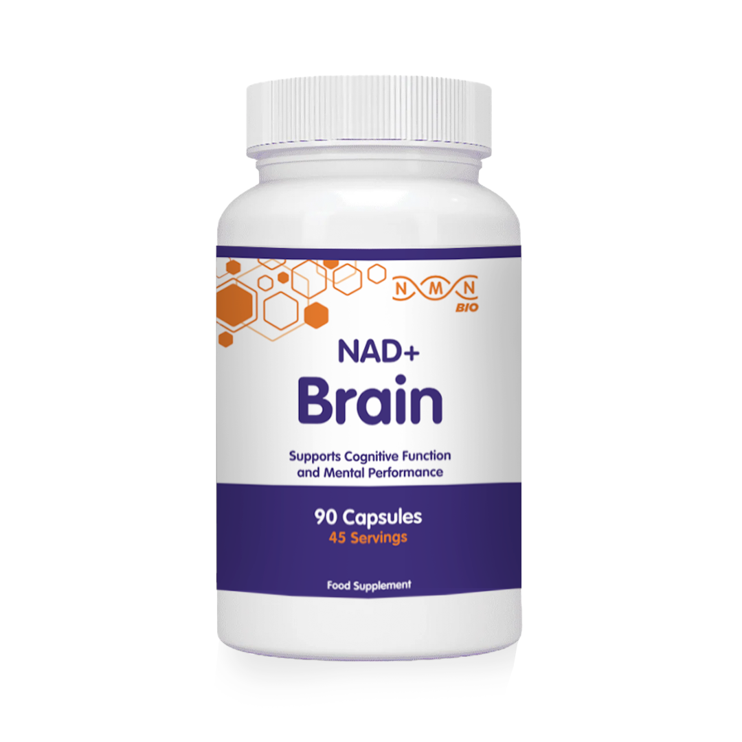 NAD+ Brain | Healthy Brain Aging | Nootropic | NMNBIO