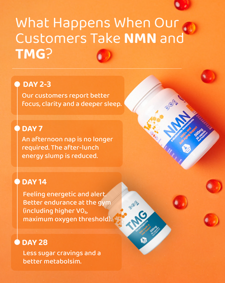 NMN supplement capsules 500mg