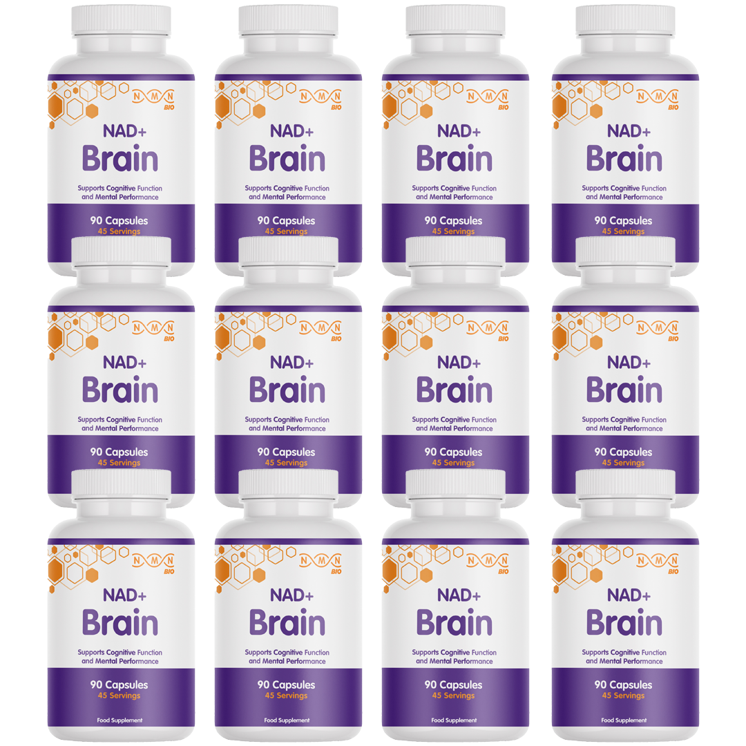 NAD+ Brain - Cognitive Enhancement Nootropic | Focus & Memory Support ...