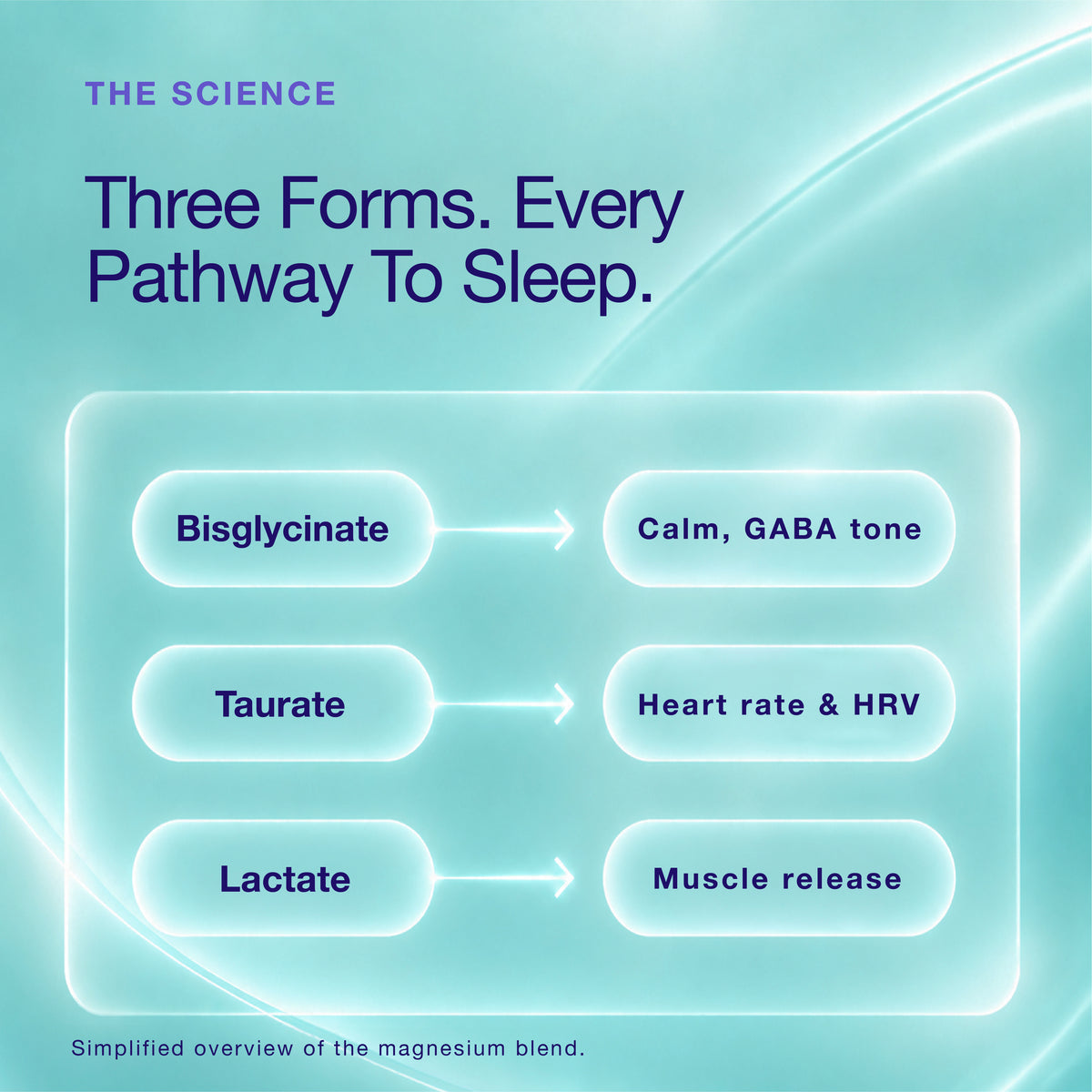 Oh!Mg Magnesium for Sleep | Bisglycinate, Taurate & Lactate