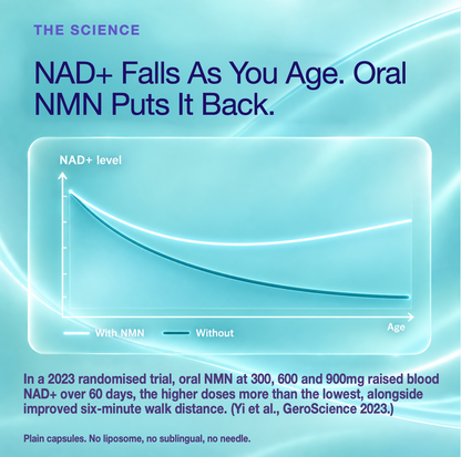 NMN supplement capsules 500mg
