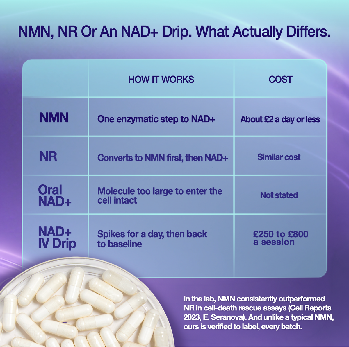 NMN supplement capsules 500mg