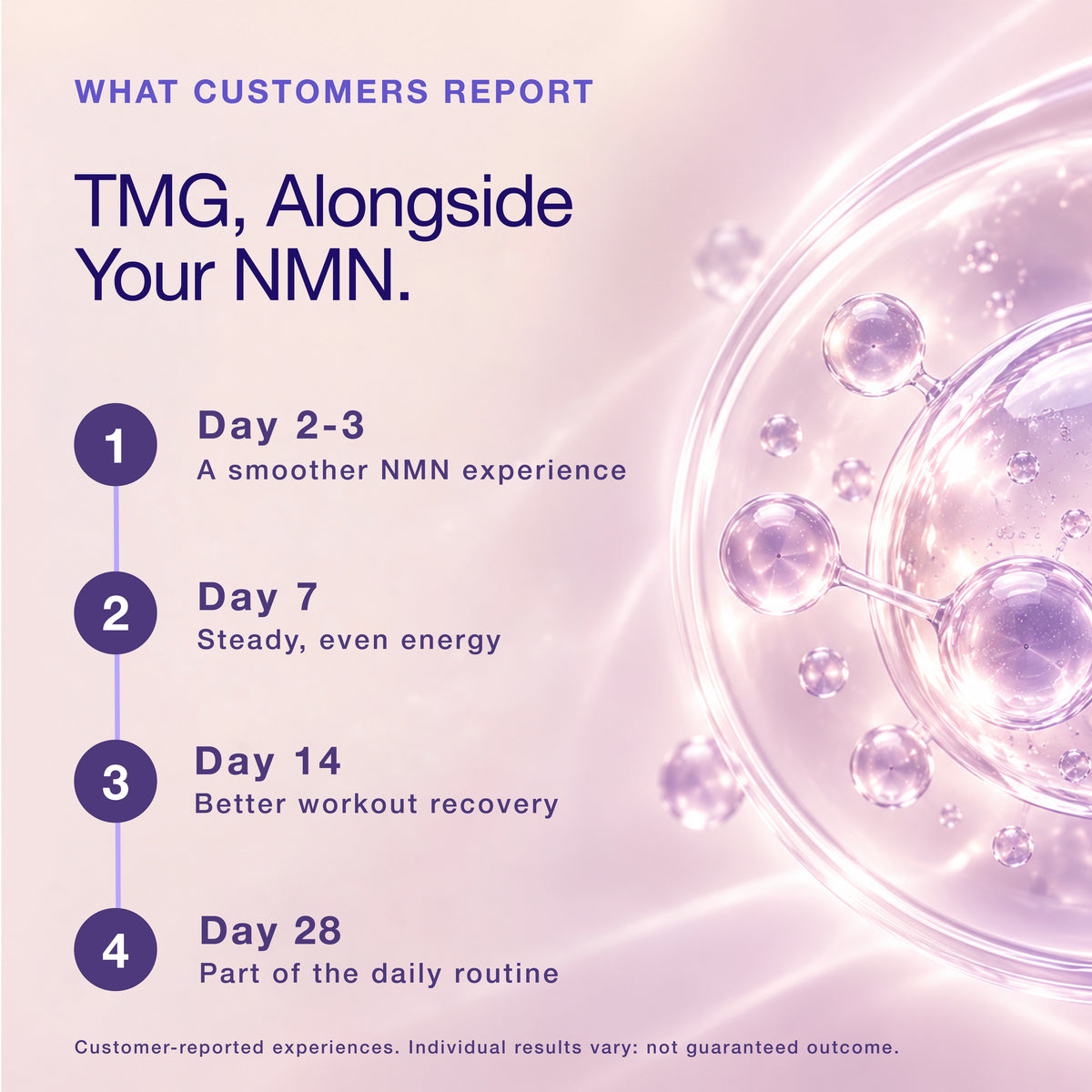 TMG (Trimethylglycine) | 500 mg | 90 Capsules