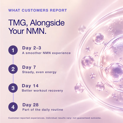 TMG (Trimethylglycine) | 500 mg | 90 Capsules