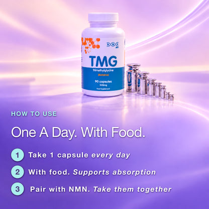TMG (Trimethylglycine) | 500 mg | 90 Capsules