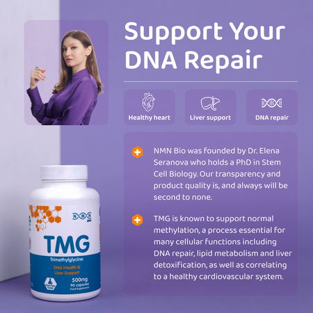 TMG (Trimethylglycine) | 500 mg | 90 Capsules