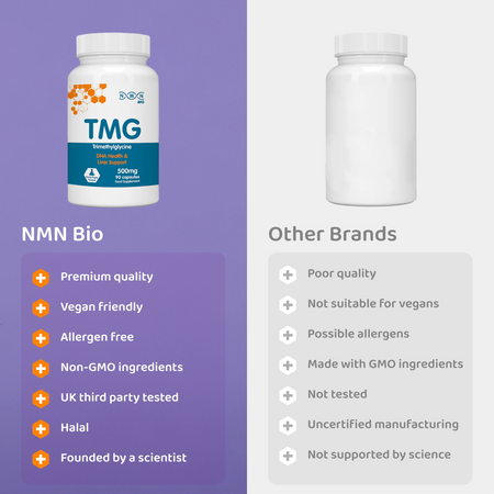 TMG (Trimethylglycine) | 500 mg | 90 Capsules