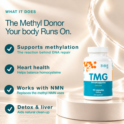 TMG (Trimethylglycine) | 500 mg | 90 Capsules