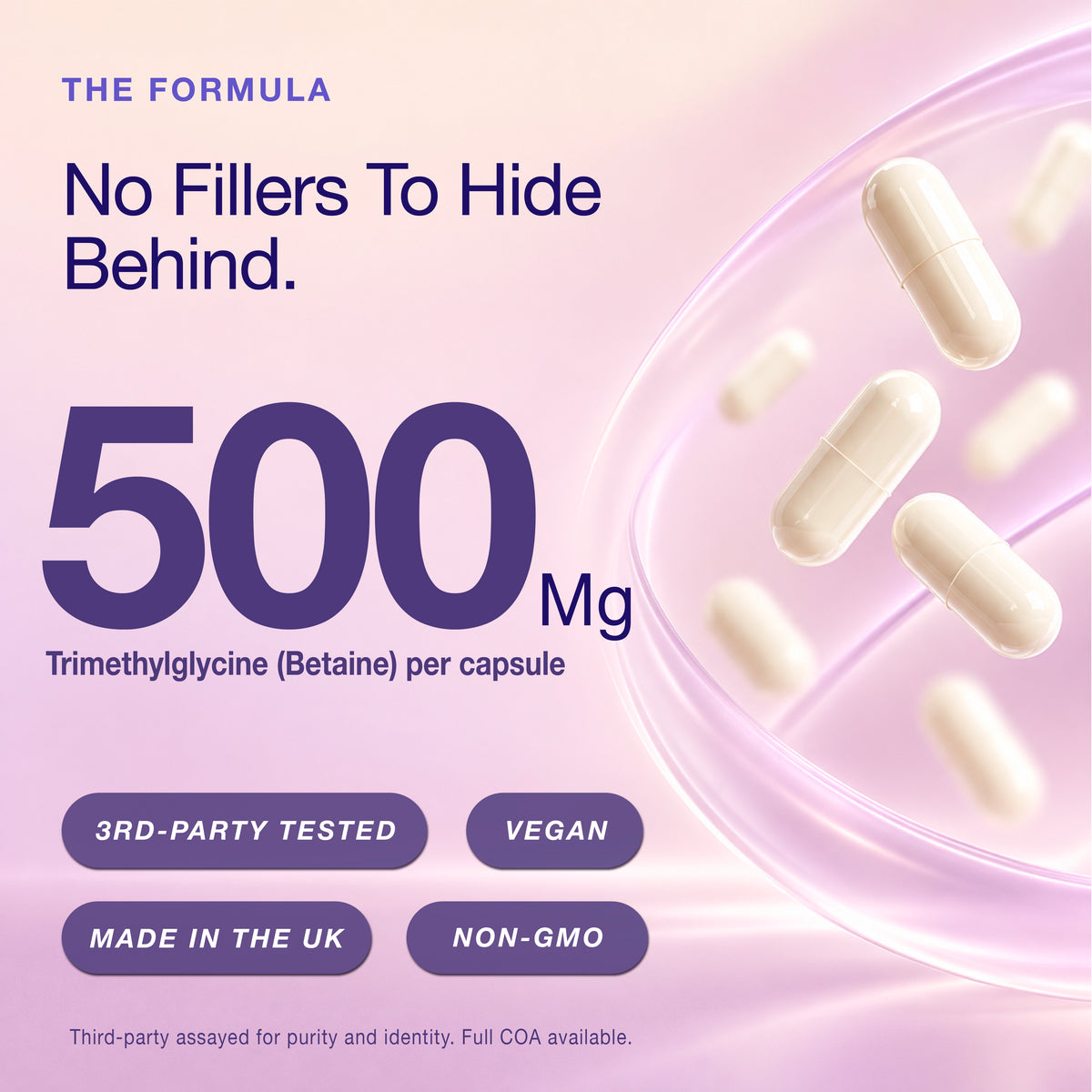 TMG (Trimethylglycine) | 500 mg | 90 Capsules