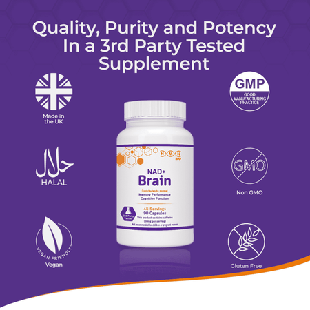 NAD+ Brain | Healthy Brain Aging | Nootropic